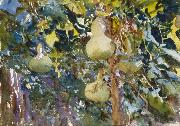 John Singer Sargent, Gourds